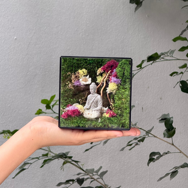 #ThíchCaAnNhiên10x10x10cm