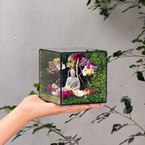 #ThíchCaAnNhiên10x10x10cm