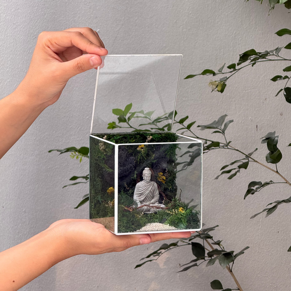 #ThíchCaMinhTâm10x10x10cm