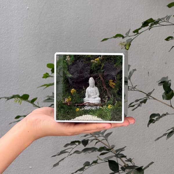 #QuanÂmTịnhCảnh10x10x10cm