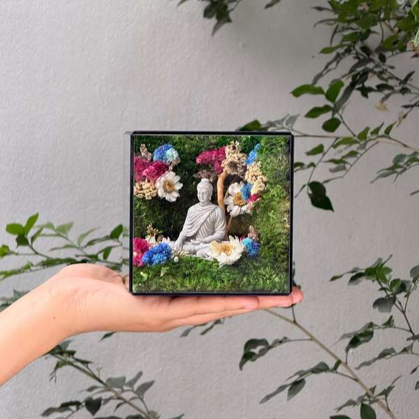 #ThíchCaThiềnĐịnh10x10x10cm