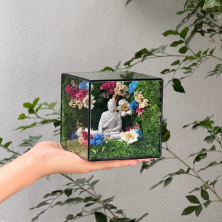 #ThíchCaThiềnĐịnh10x10x10cm