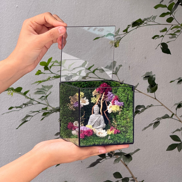 #ThíchCaAnNhiên10x10x10cm