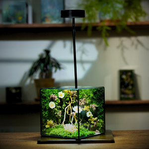 ĐÈN SIZE M (cho bể cây chiều cao <21cm)