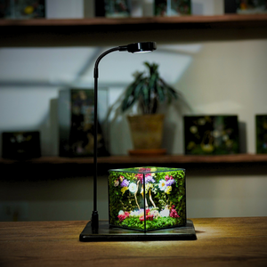 ĐÈN SIZE M (cho bể cây chiều cao <21cm)