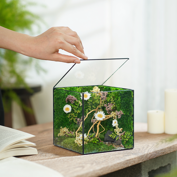 #BểƯơmMầm(15x15x15cm)
