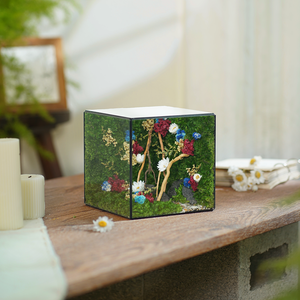 #BểChânMây(15x15x15cm)