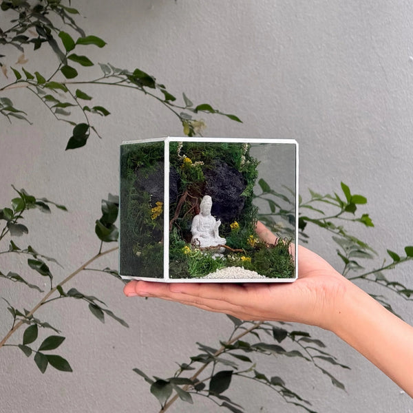 #QuanÂmTịnhCảnh10x10x10cm