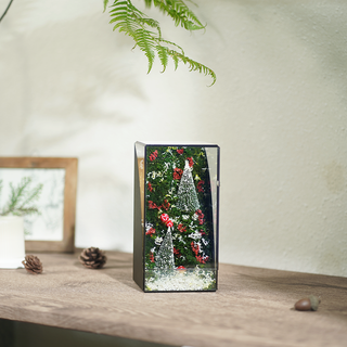 #BểRừngĐông(10x10x20cm)