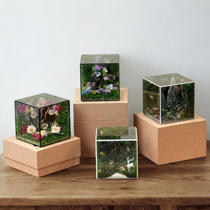 Ước Mơ Xanh 10x10x10