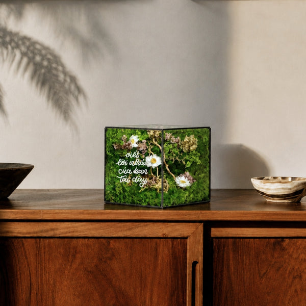 Ươm mầm tốt nghiệp (10x10x10cm)