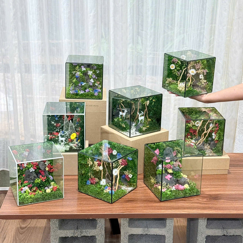 Lil Cube (15x15x15cm)